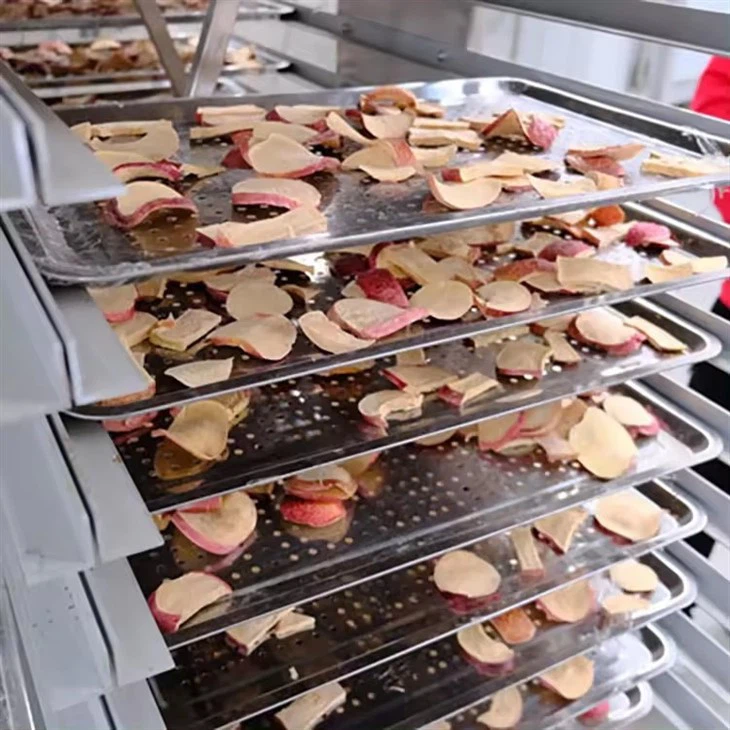 Ginseng Vacuum Dryer